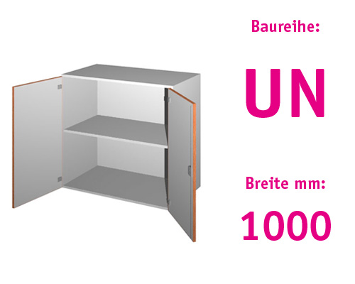 Aufsatzschrank mit 2 Drehtüren HBT: 915 x 1000 x 525+20 mm